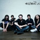 Animal ДжаZ