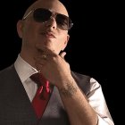 Pitbull