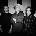 Swans