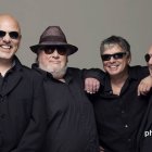 The Stranglers