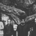 Ulver