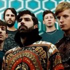 Foals